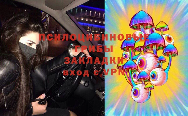 apvp Арсеньев