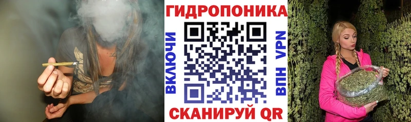 Шишки марихуана Bruce Banner Устюжна